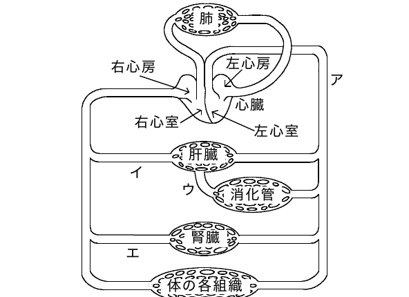 2011年4月 問22 の図 1