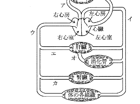 2011年10月 問22 の図 1