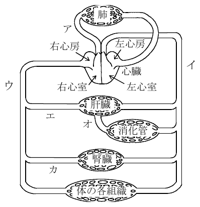 2013年4月 問24 の図 1