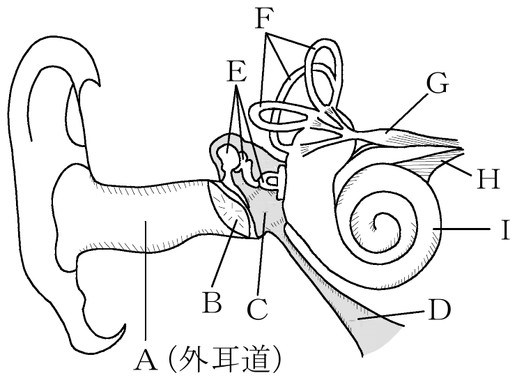 2013年4月 問29 の図 1