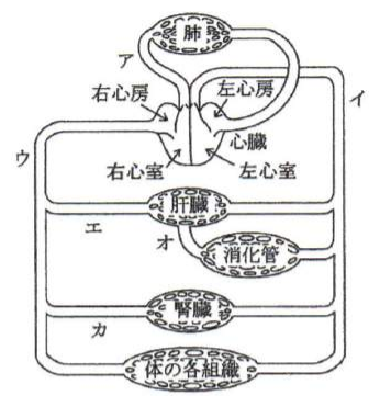 2015年4月 問23 の図 1