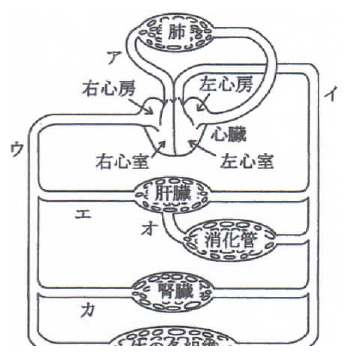 2016年4月 問22 の図 1