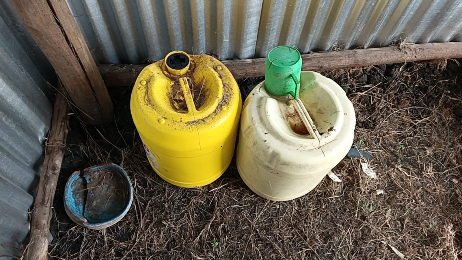 Rabbit Urine