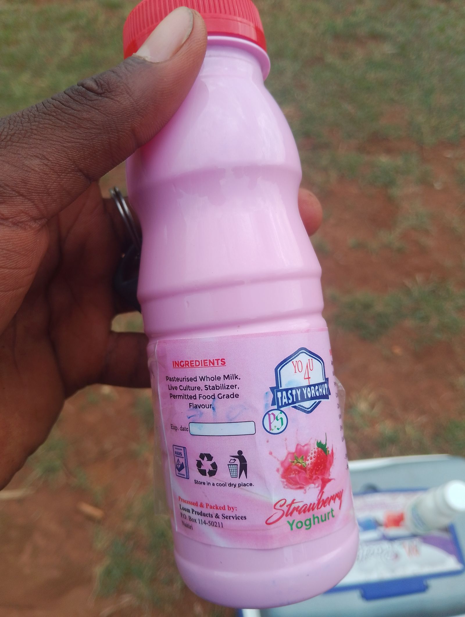 yoghurt