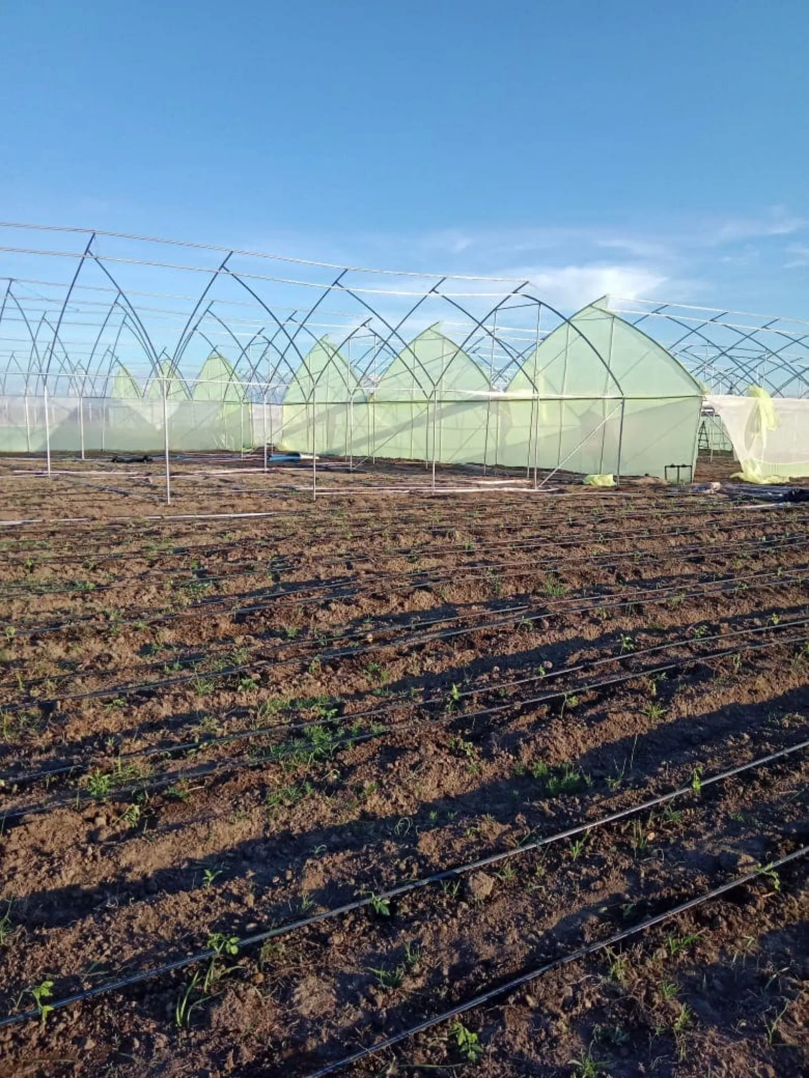 irrigation systems