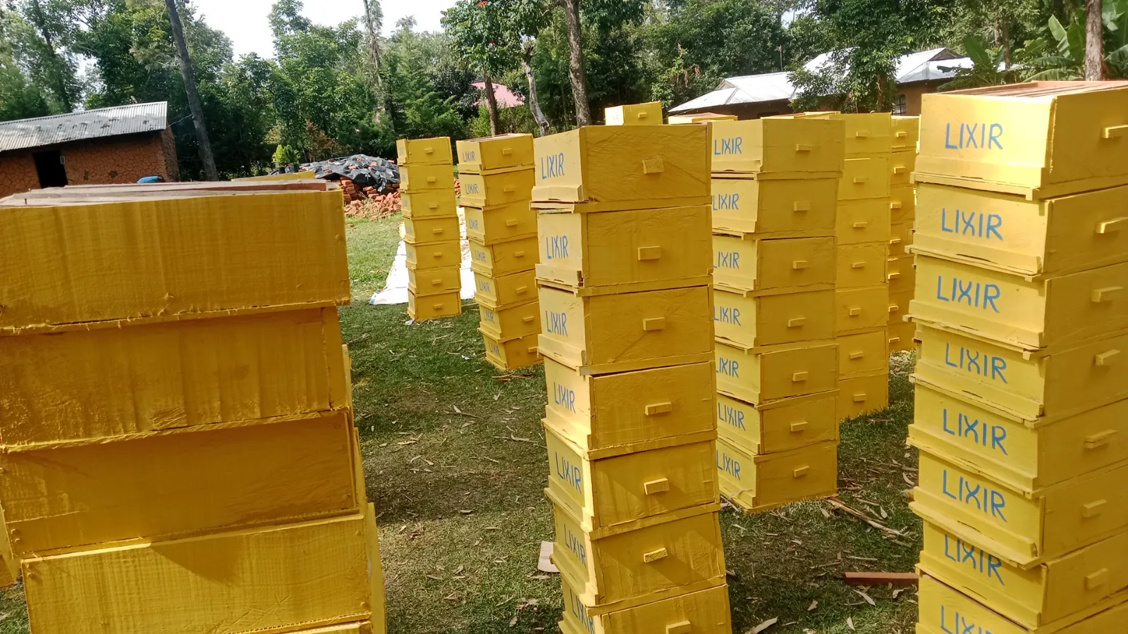 Bee hives