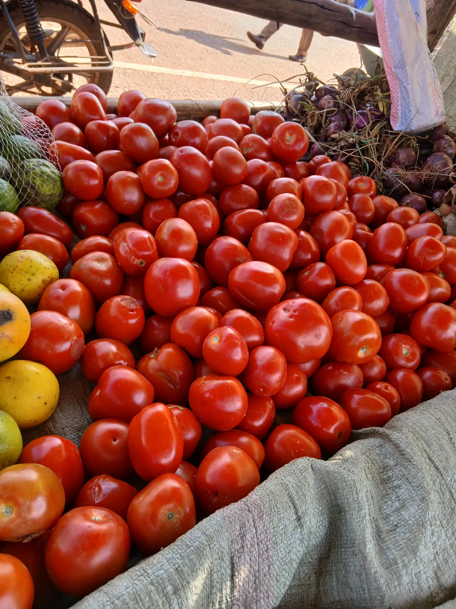 Tomato
