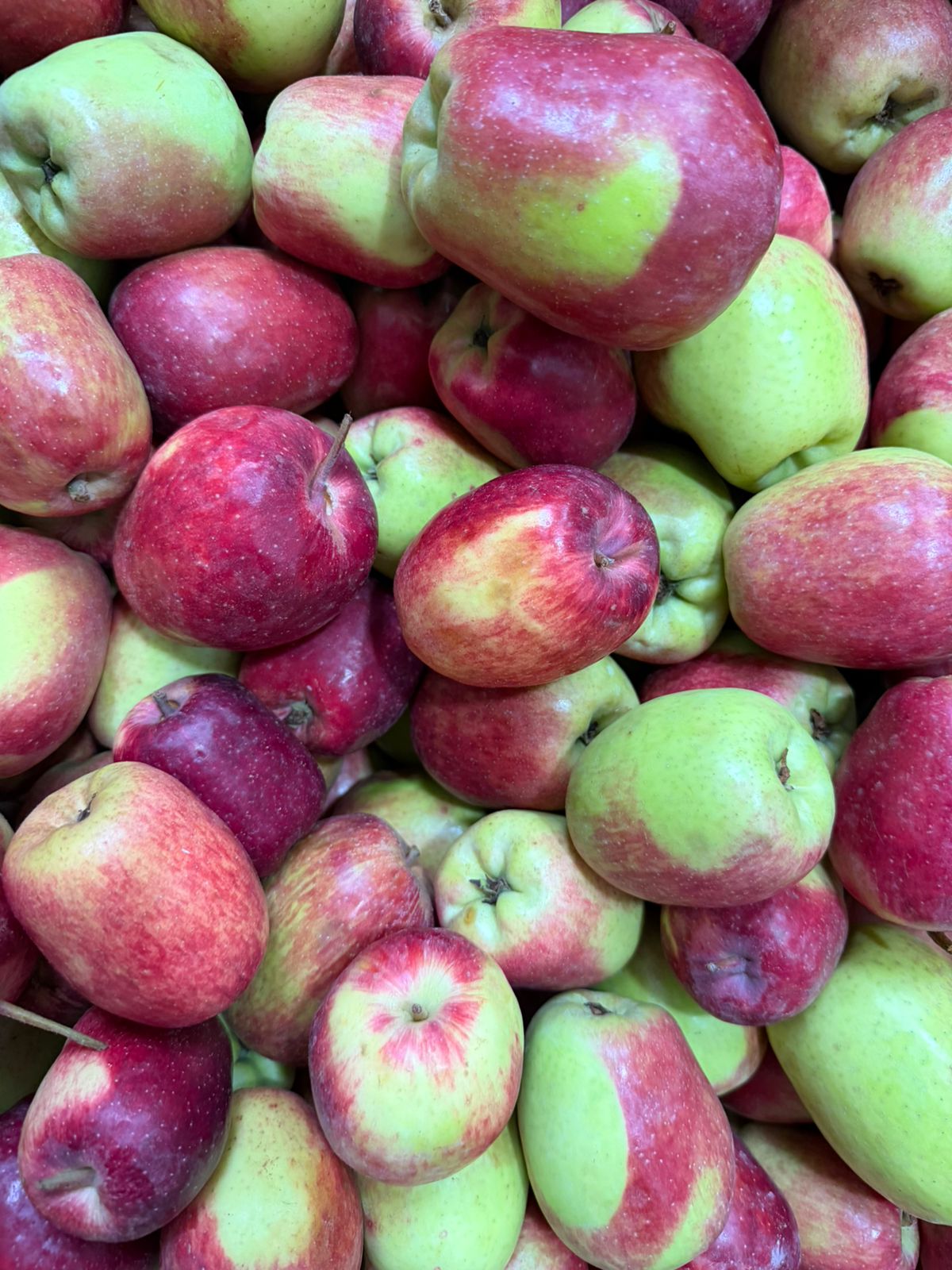 Wambugu Apples