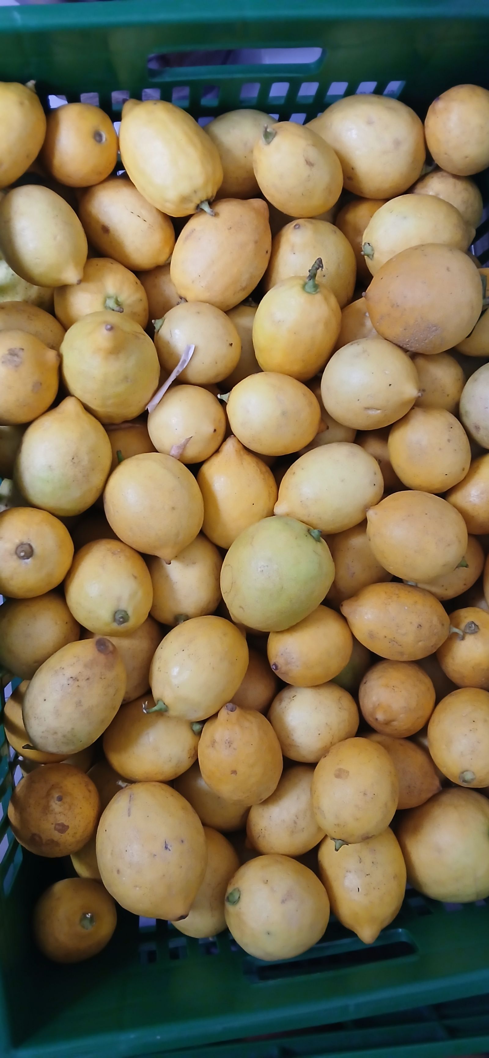 Juicy Lemons