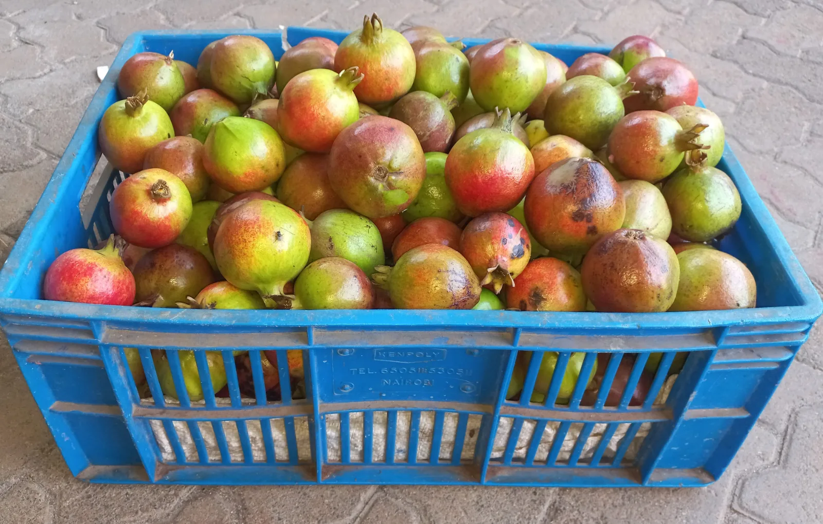 Pomegranate