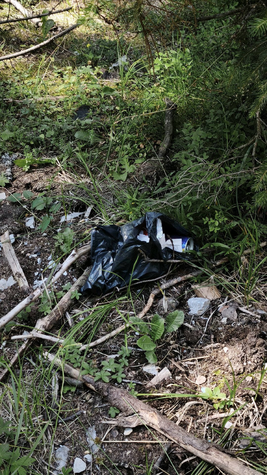 Dump photo