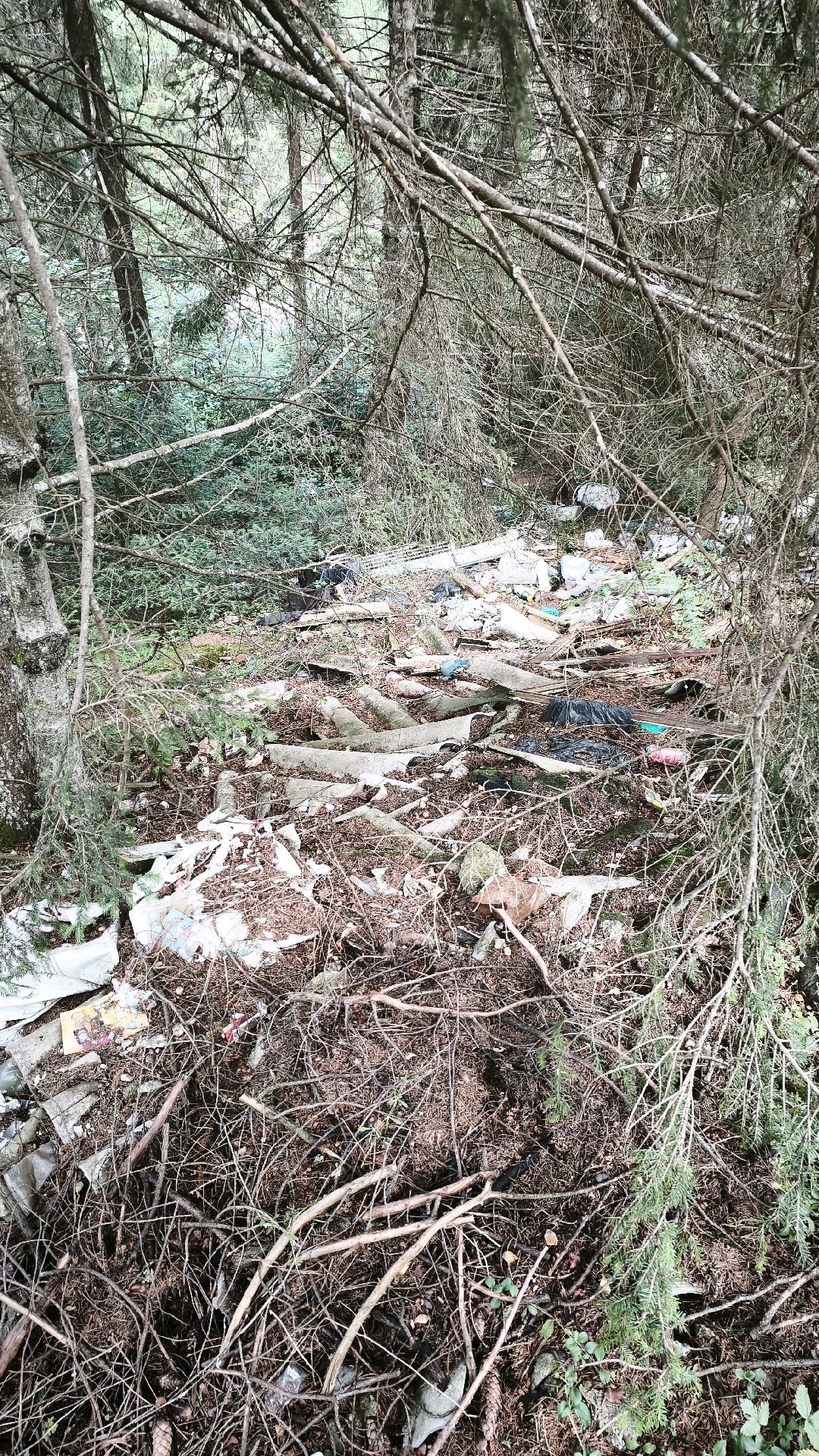 Dump photo