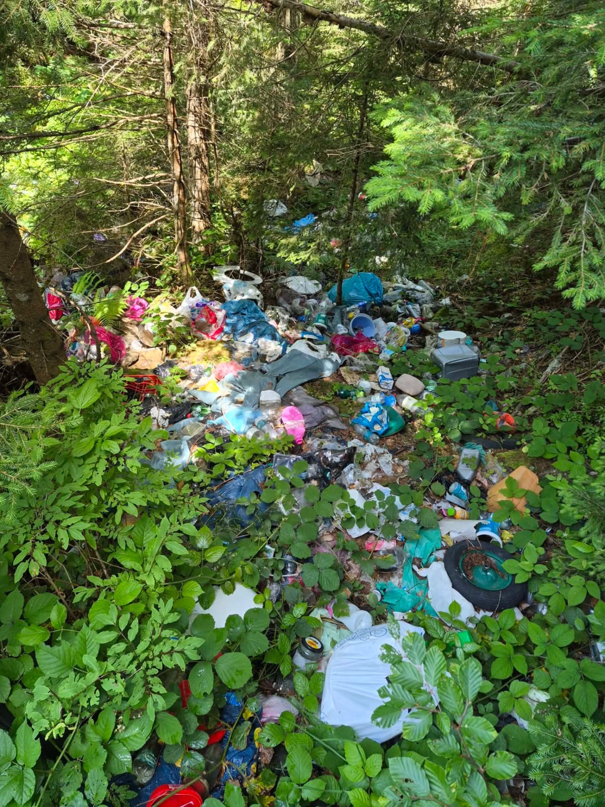 Dump photo
