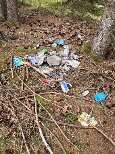 Manja količina otpada u šumi