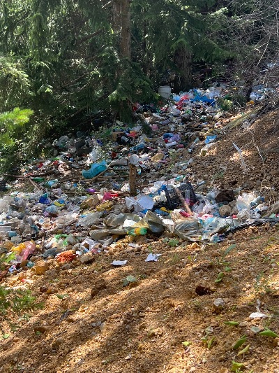 Ogromna divlja deponija u blizini Kamenuše