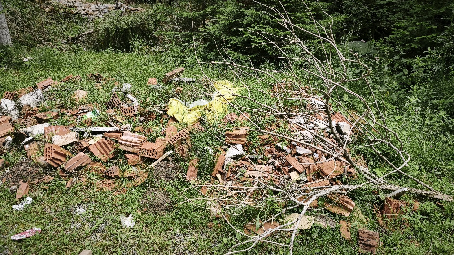 Dump photo