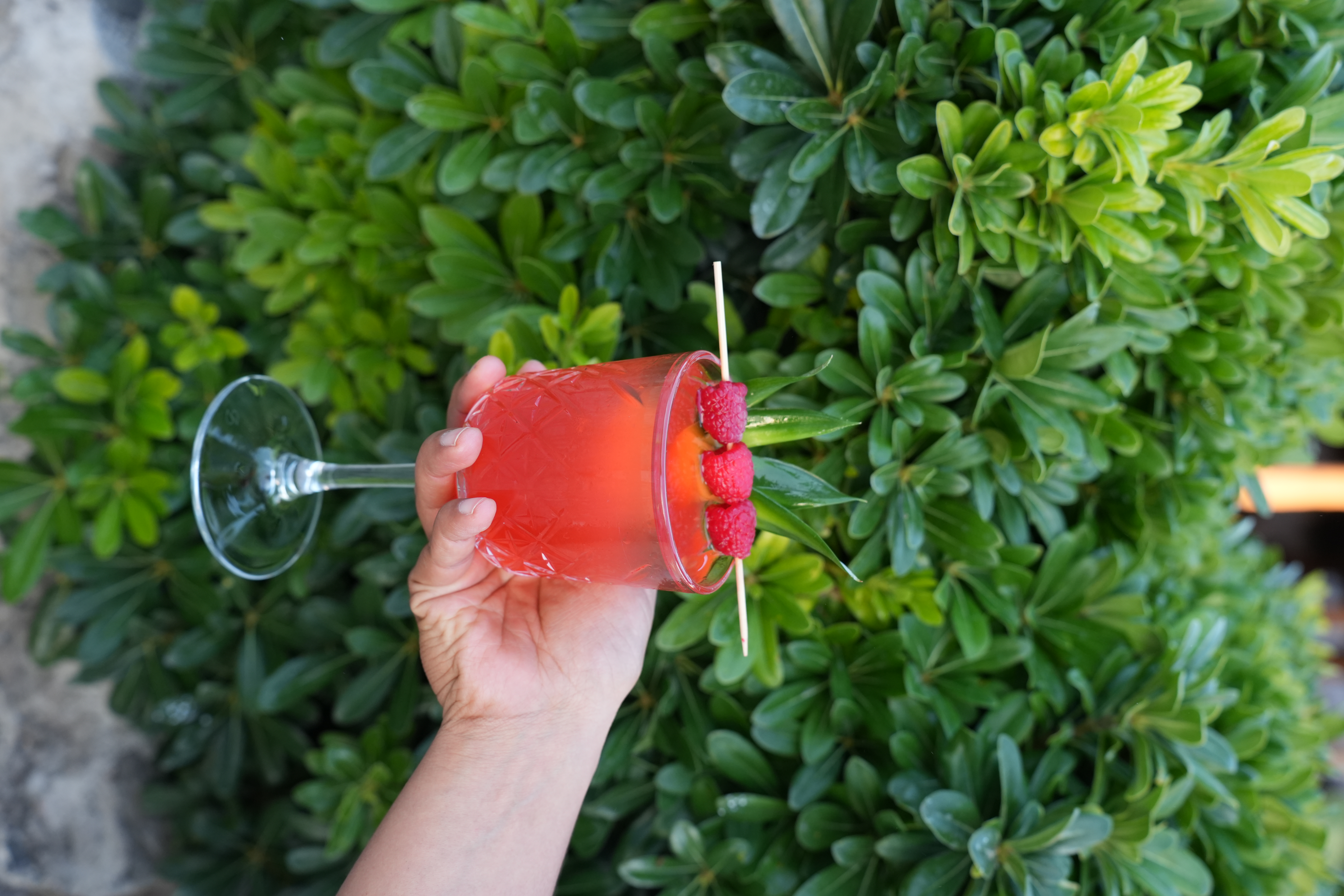 Pink Drink - Medio 1