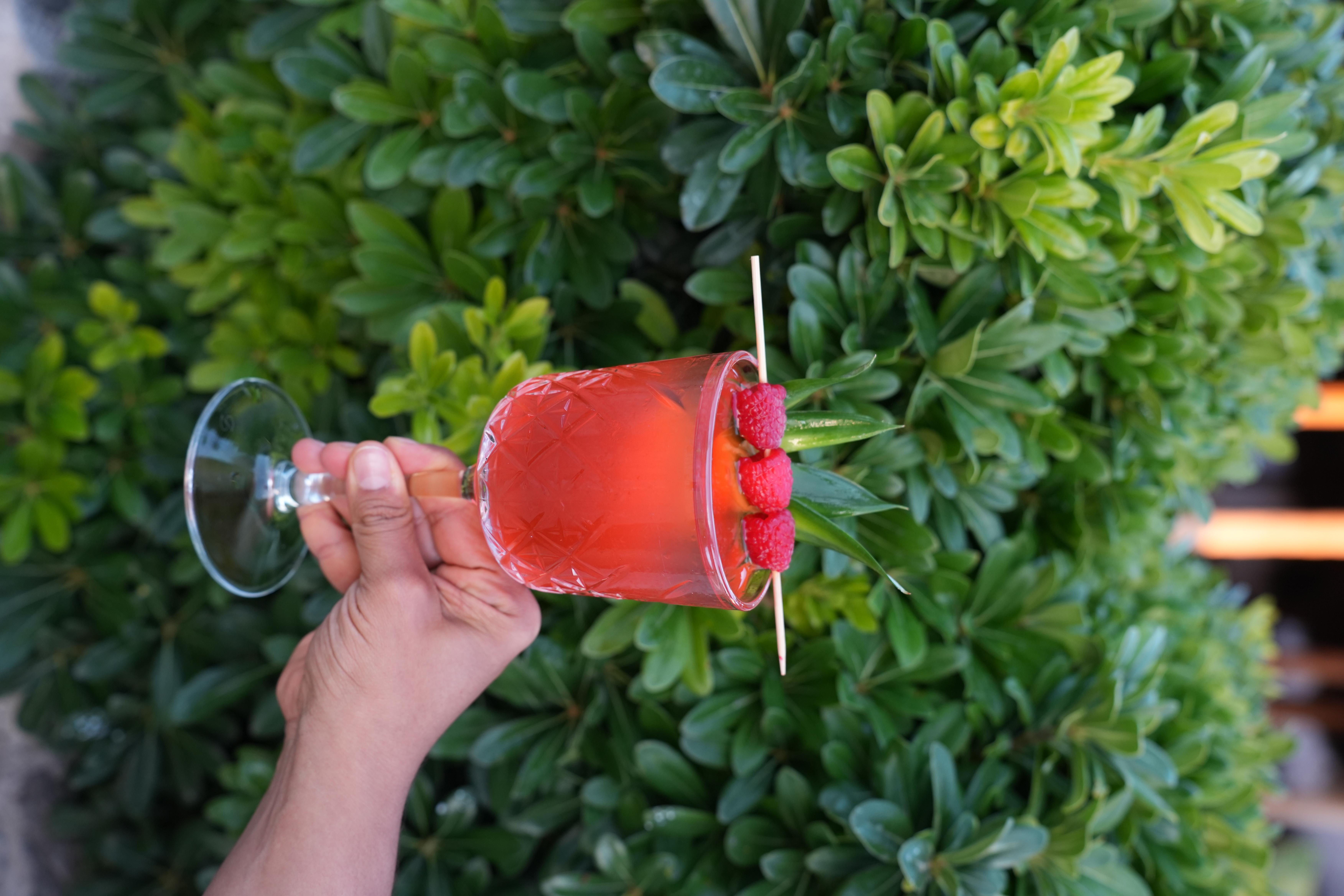 Pink Drink - Thumbnail 2