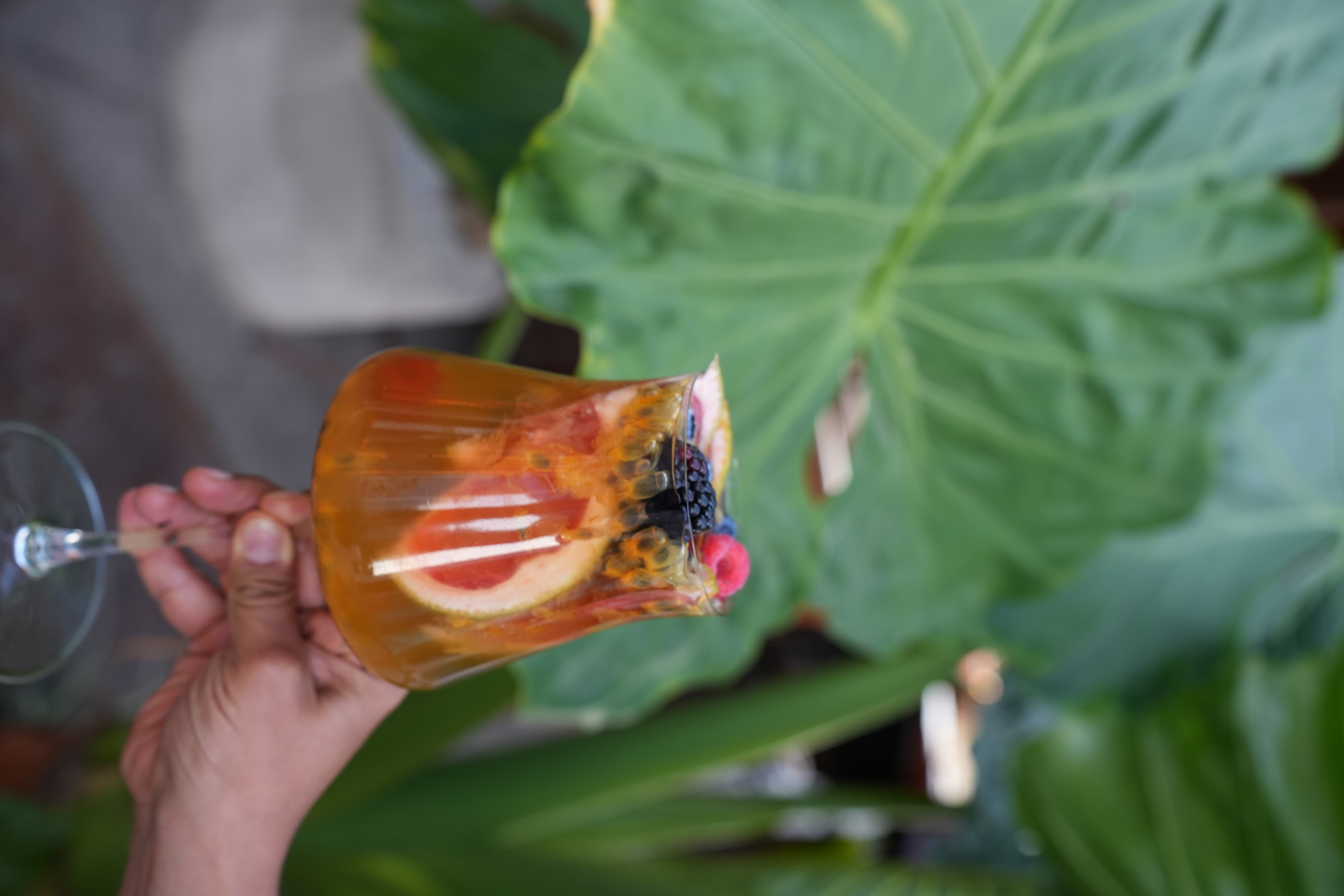 Palmar Spritz - Thumbnail 2