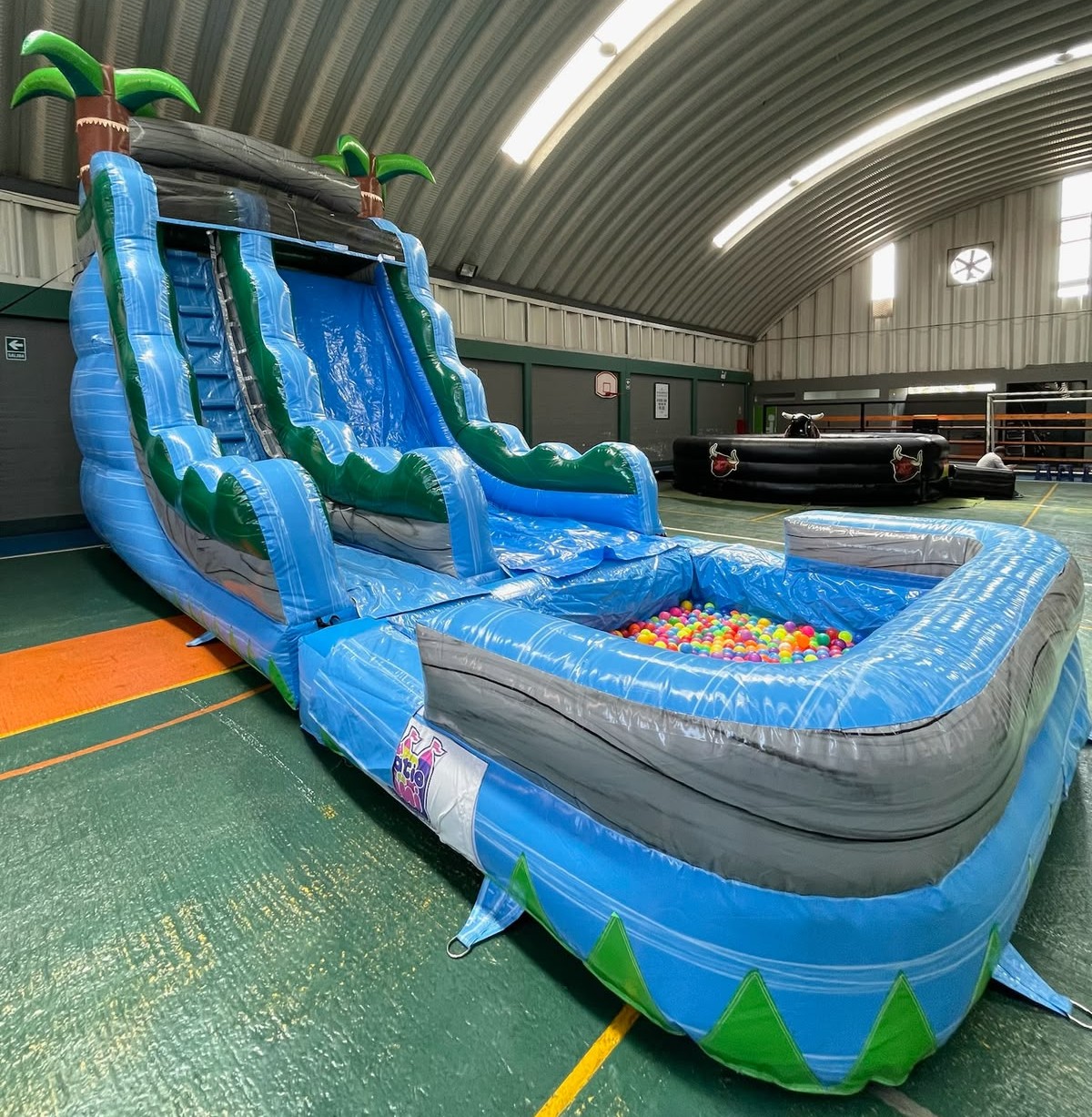 Inflable Tropical - foto 3