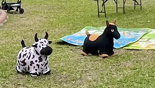 Animalitos Saltarines