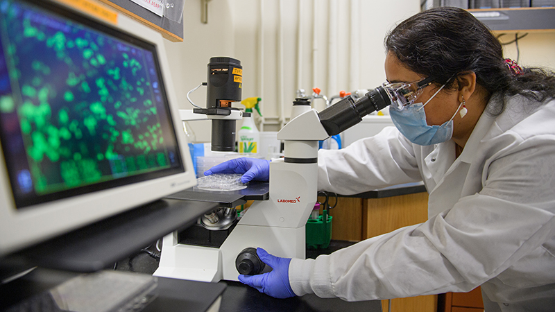 Key Trends Shaping Research and Academic Publishing in 2026