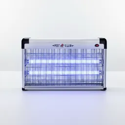 Tue-insectes collection