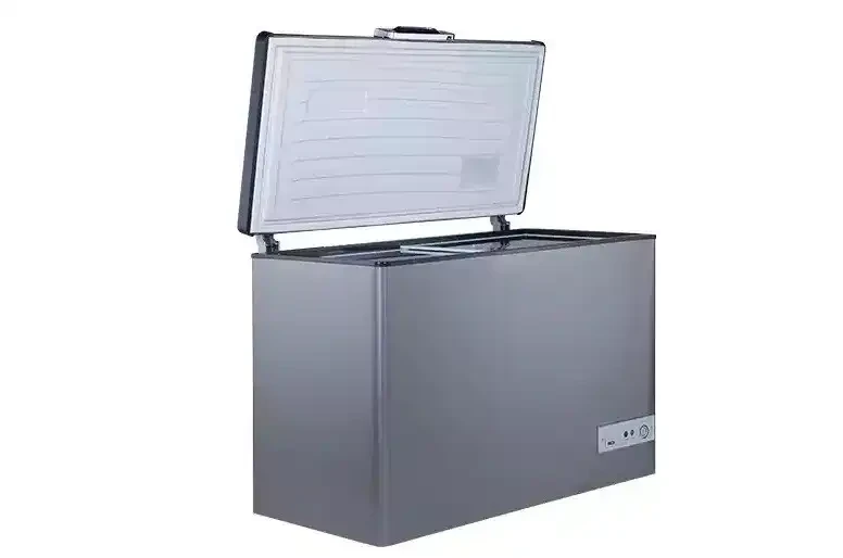 CONGELATEUR PASSAP 303L-ES341L