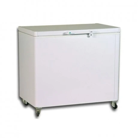 CONGELATEUR MONTBLANC 320L SILVER INVERTER ACC320