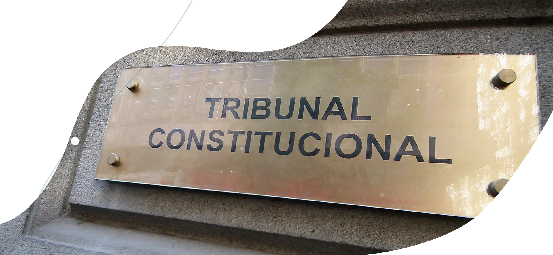 ¿Cuál es el rol del Tribunal Constitucional?
