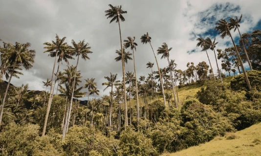 Colombia