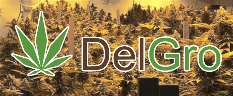 grow-op-overview-delgro-excerpt
