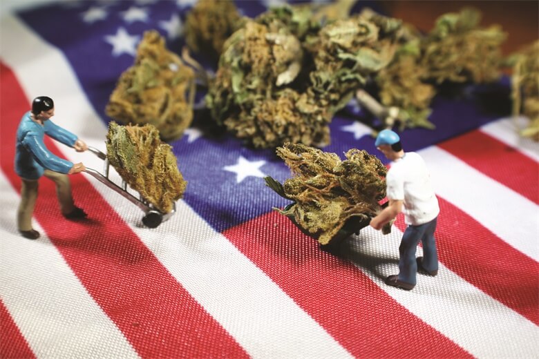 independence-day
