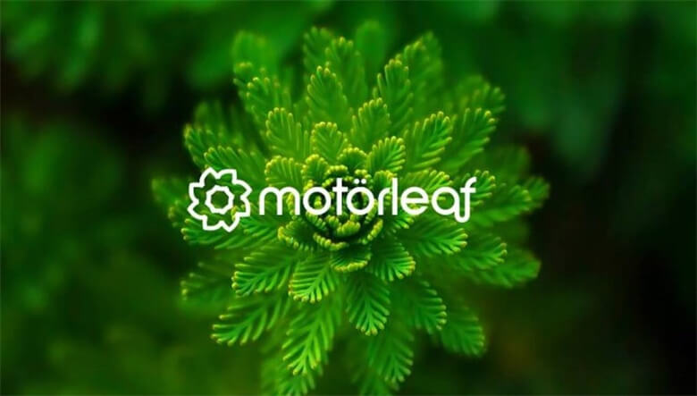 growers-spotlight-motorleafs-vision-for-ai-in-grow