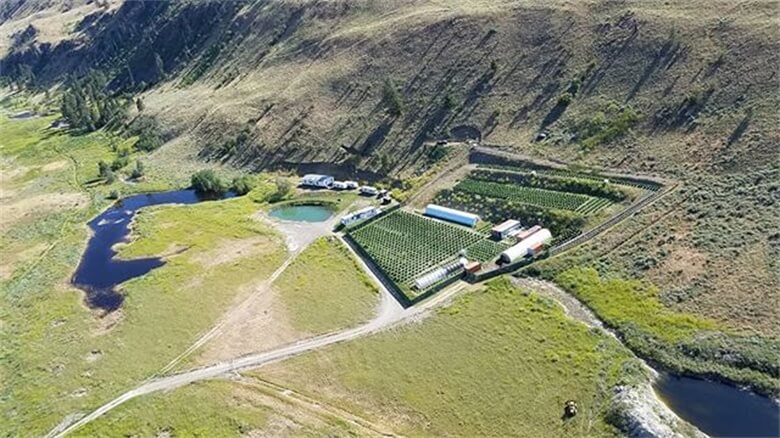 growing-off-the-grid-with-pickens-mountain-cannabi
