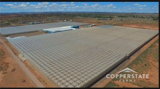 qa-with-fife-symington-iv-of-copperstate-farms-in-
