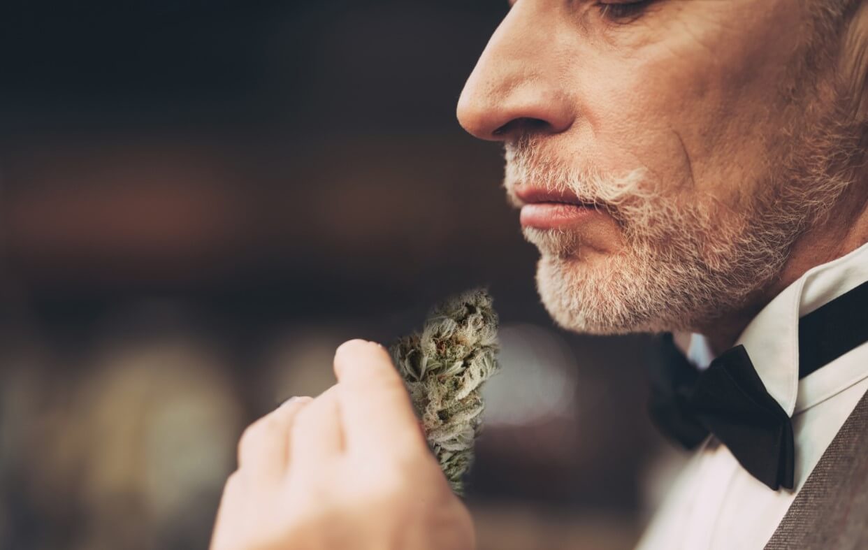 are-you-a-cannabis-connoisseur