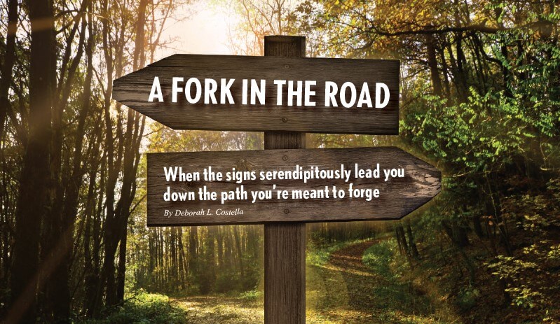 a-fork-in-the-road