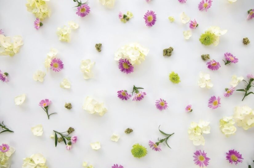 new-year-blooms-with-bouquet-of-new-products