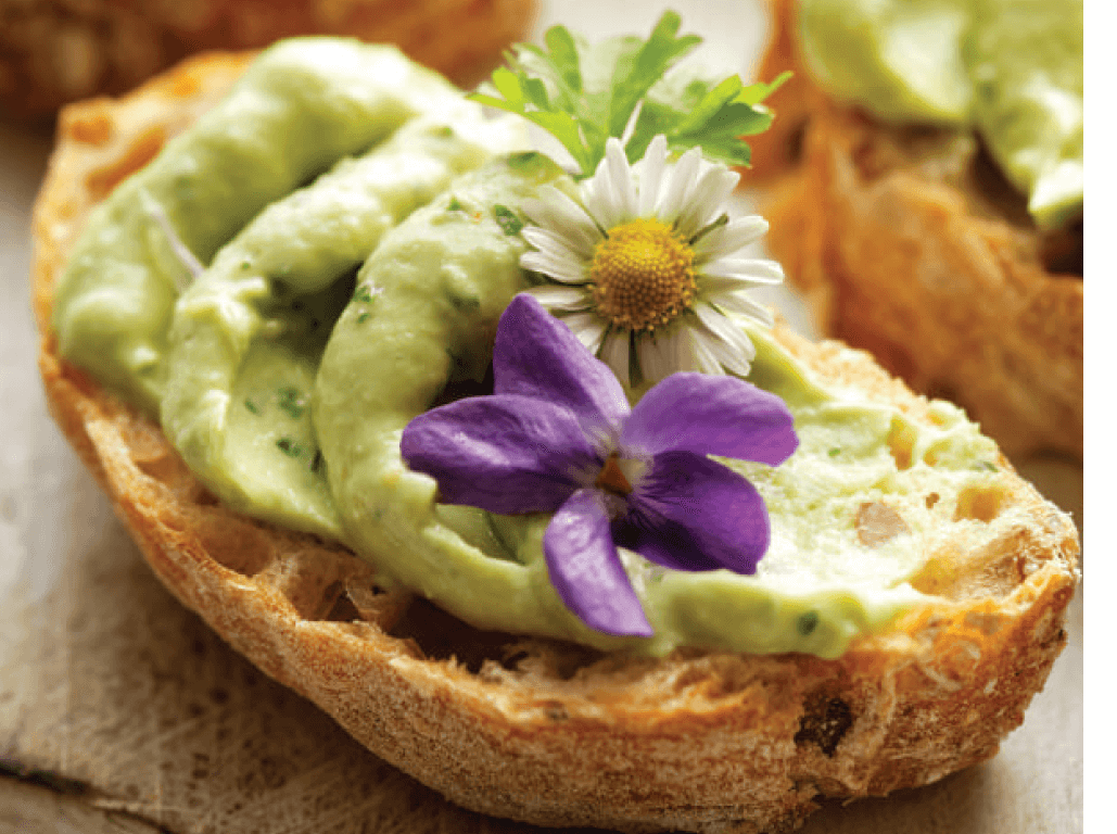 cooking-with-cannabis-avocado-toast