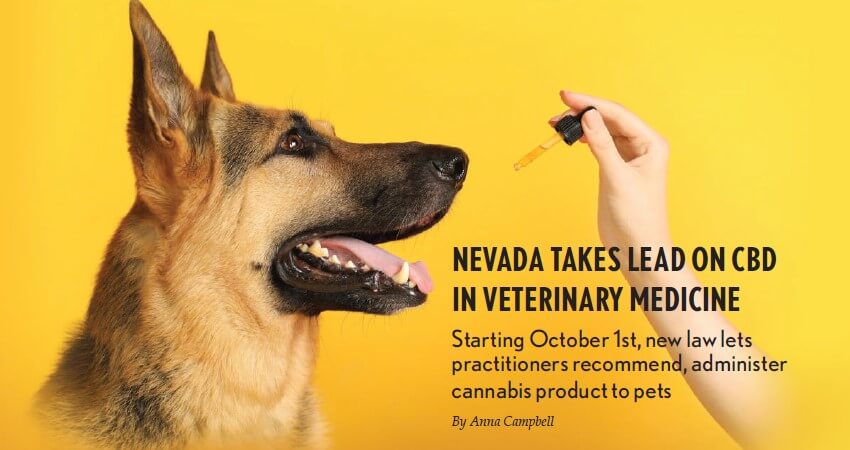 nevada-takes-lead-on-cbd-in-veterinary-medicine
