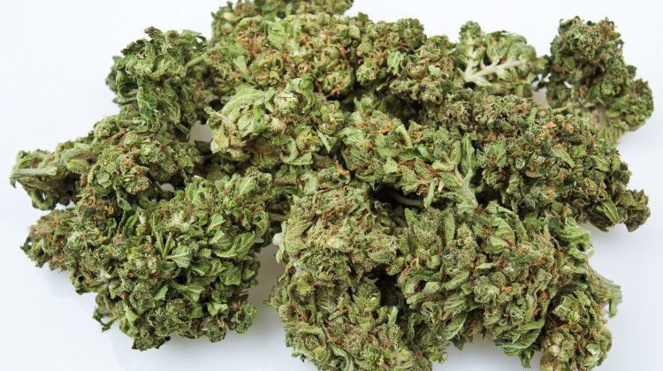 cannabismd-is-just-what-the-doctor-ordered