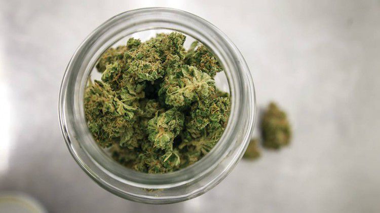 evergreen-organix-makes-needs-of-patients-top-prio