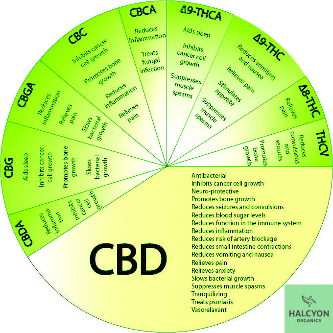 patient-primer-the-wheel-deal-for-charting-a-cours