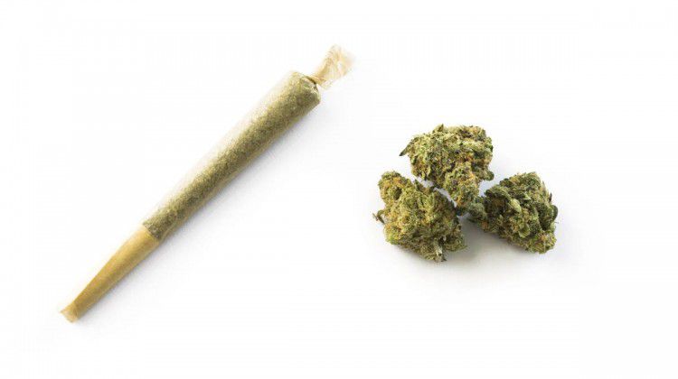 silver-sage-wellness-opens-with-focus-on-cbd-speci