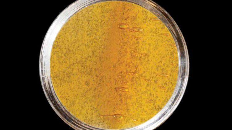 moxie-brings-signature-live-resin