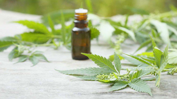 nevada-goes-all-in-on-cannabis