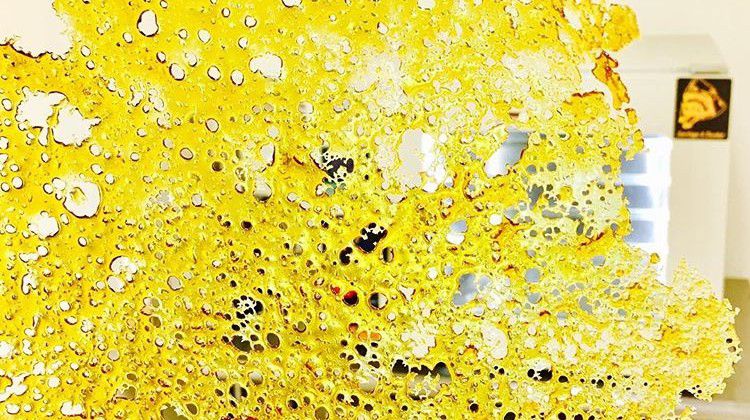 growers-spotlight-with-tasia