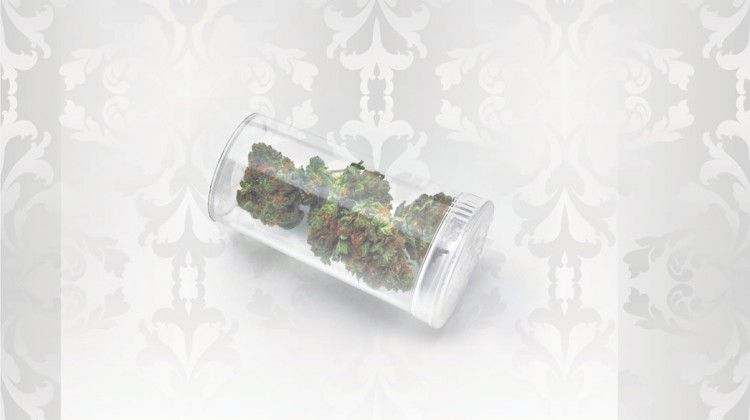 a-yendica-for-indica