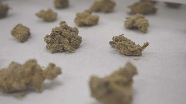 kief-adds-new-dimension